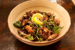 salad Saga