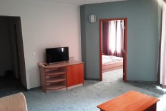 Apartment in Saga Hotel