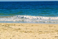 Ravda beach, birds